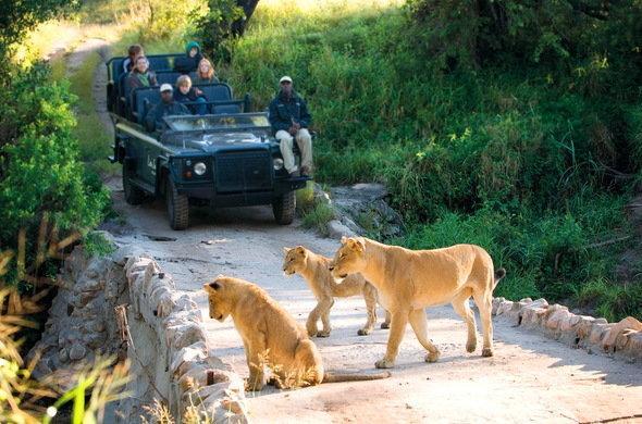 Kruger Park Lodge 401 Гейзівью Екстер'єр фото